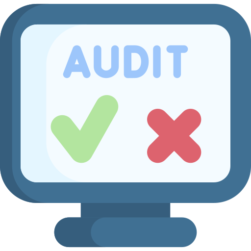 audit 1
