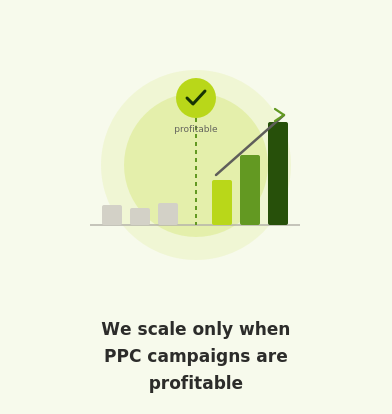 Profitable PPC Campaign